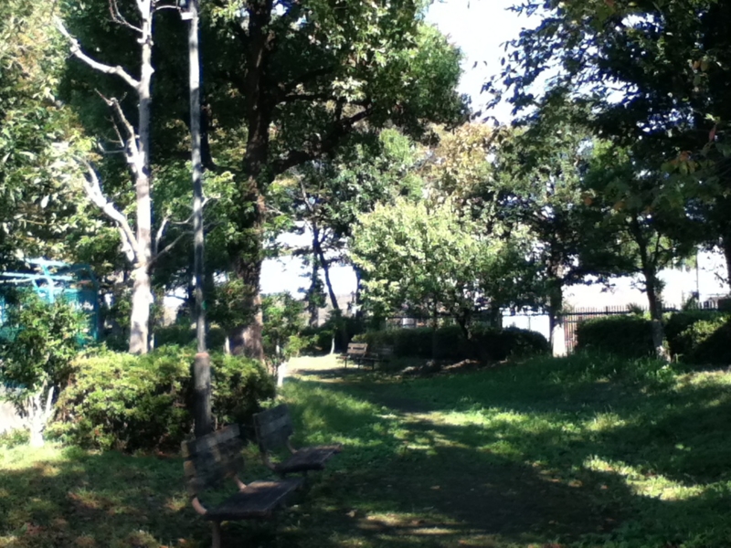 f:id:favre-4:20121026103509j:image f:id:favre-4:20121026103509j:image