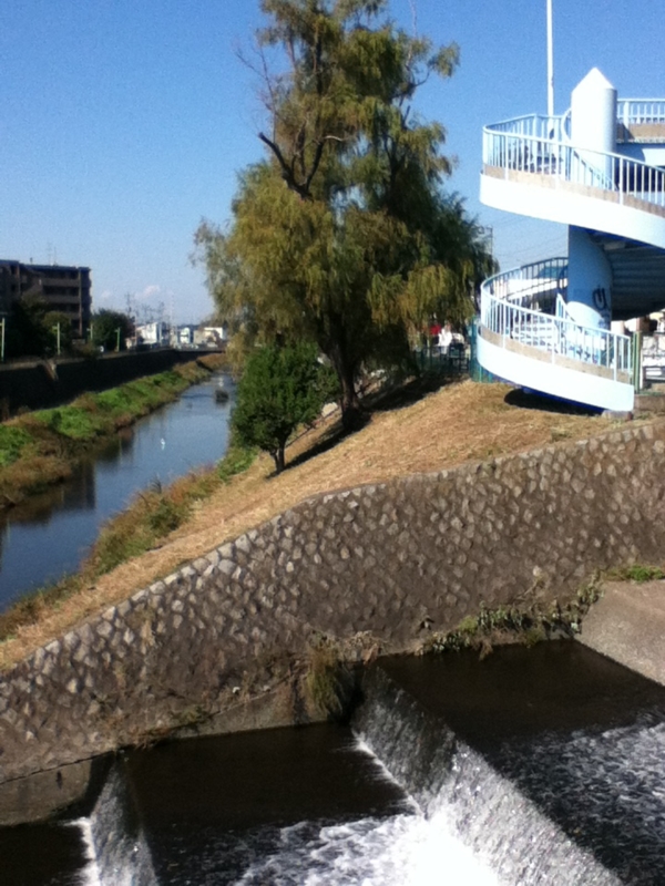 f:id:favre-4:20121026104648j:image f:id:favre-4:20121026104648j:image