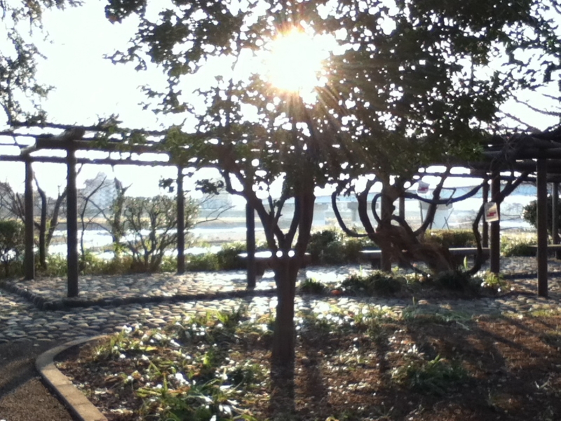 f:id:favre-4:20130228231713j:image f:id:favre-4:20130228231713j:image