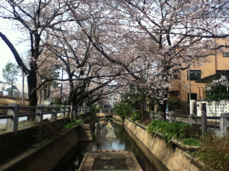f:id:favre-4:20140329185026j:image f:id:favre-4:20140329185026j:image