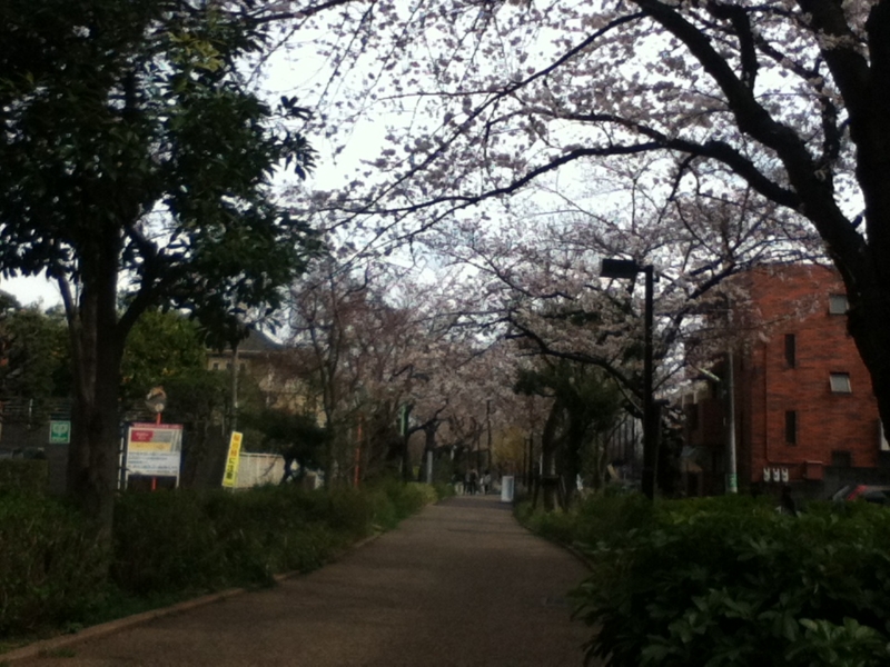 f:id:favre-4:20140329185159j:image f:id:favre-4:20140329185159j:image