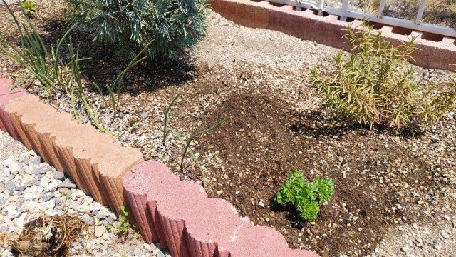 育児日記 家族で苗植え 家庭菜園でのアブラムシ対策も紹介 早起きパパのカジメン生活