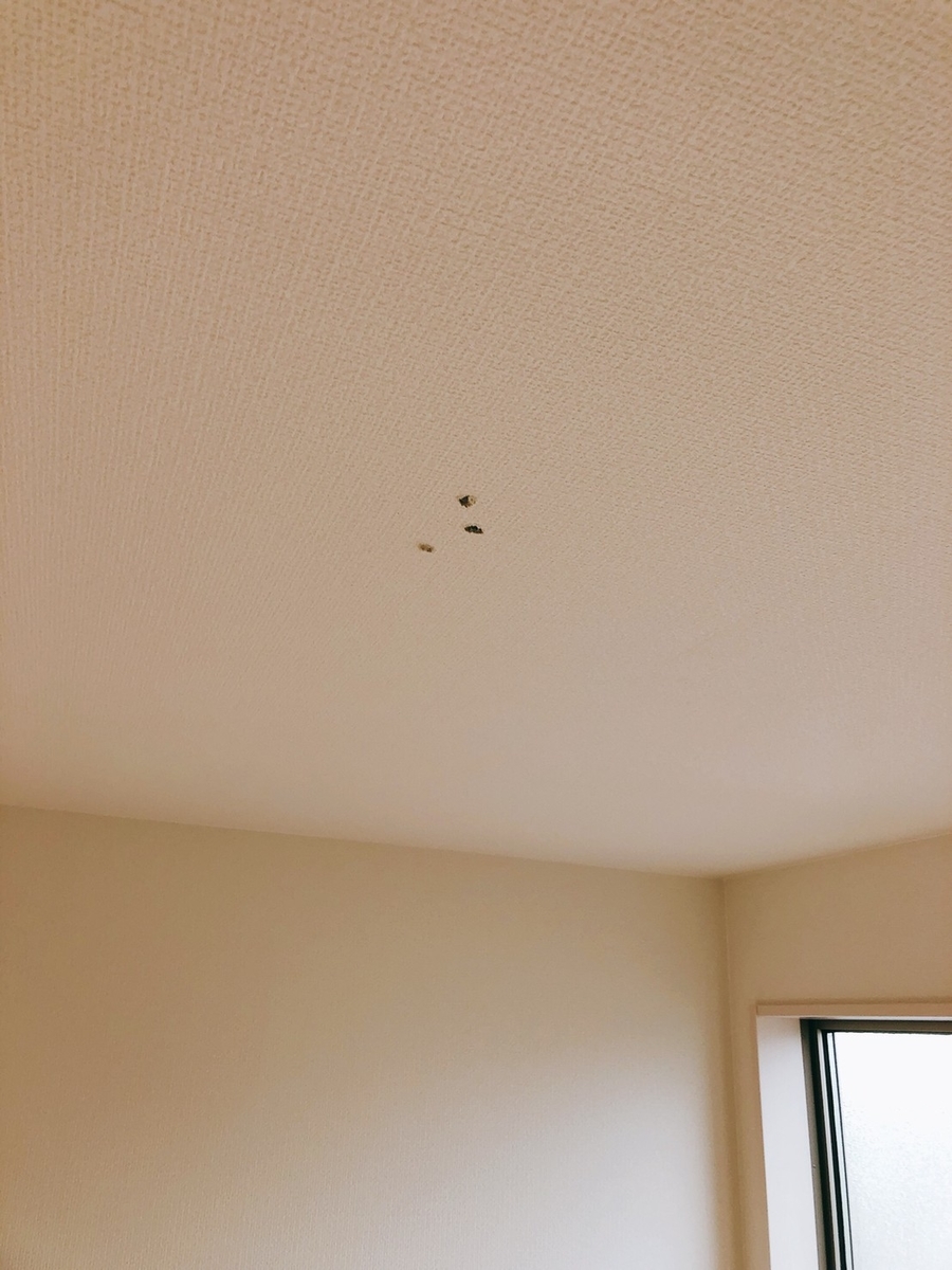 吹抜け5m 新規配線 シーリングファン取り付けと電動ブラインド用コンセント増設工事 シーリングファン専門店ファズーの店長ブログ