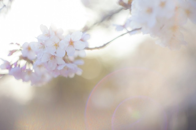 f:id:fcl32090:20180520063052j:image f:id:fcl32090:20180520063052j:image