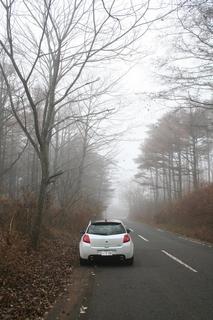 2010112103.JPG