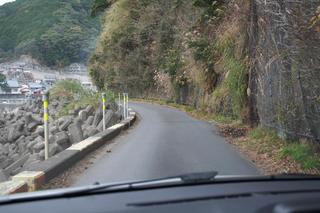 2010123005.JPG