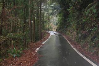 2010123023.JPG