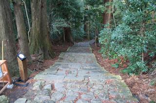 2010123031.JPG