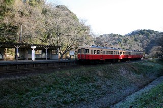 2011010904.JPG