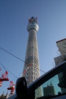clioskytree01.JPG