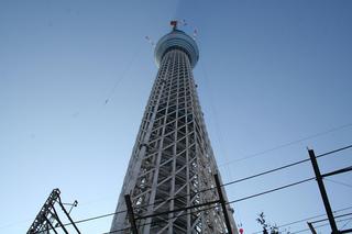 clioskytree02.JPG