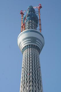 clioskytree03.JPG