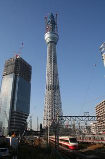 clioskytree04.JPG