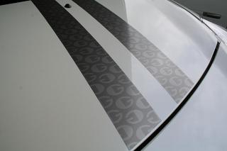 2011061902.JPG