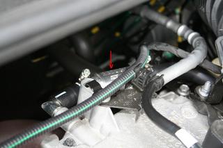 2011061904.JPG