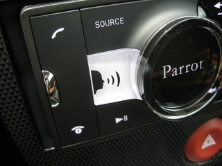 parrot_asteroid22.JPG