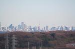 tokyo3.JPG