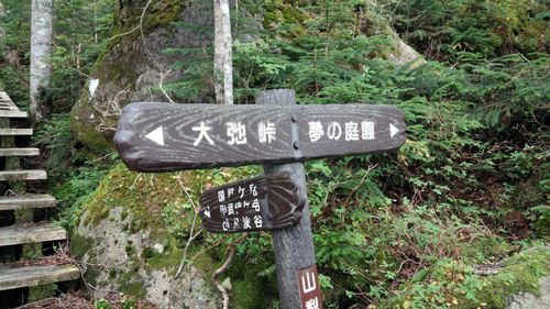 751a482d18.jpg