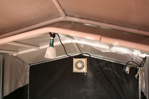 a470c17c73.jpg