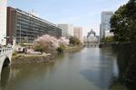 2010040302.JPG