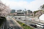 2010040304.JPG