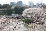 2010040307.JPG