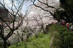 2010040308.JPG