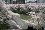 2010040311.JPG