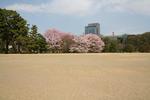 2010040316.JPG