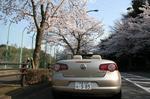 2010040317.JPG