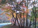 2009111603.JPG