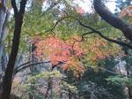 2009111604.JPG