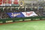 wbc05.JPG