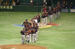wbc06.JPG