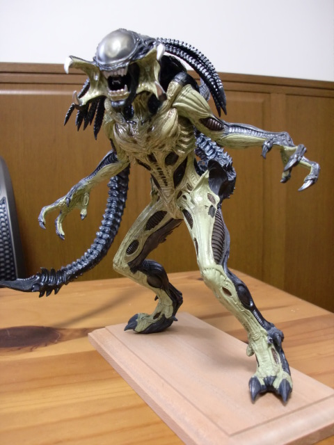 イメージ 14