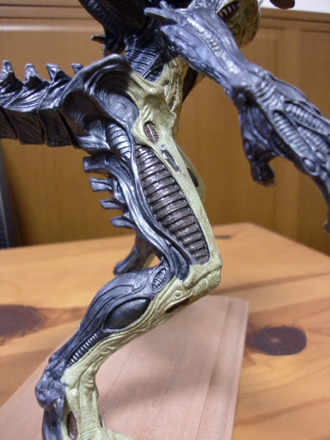 イメージ 5