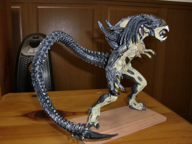 イメージ 8