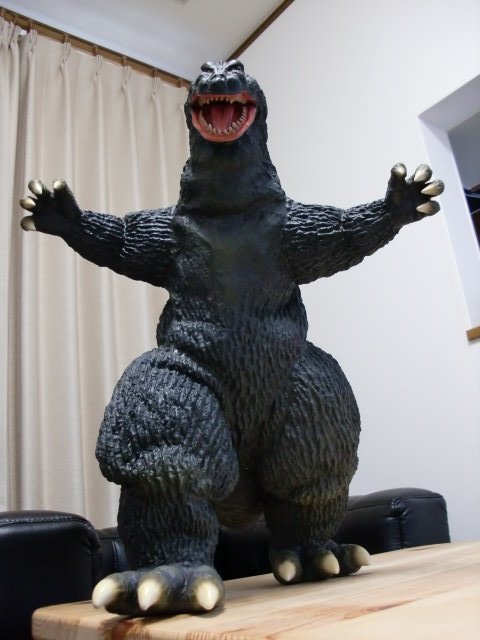 イメージ 7