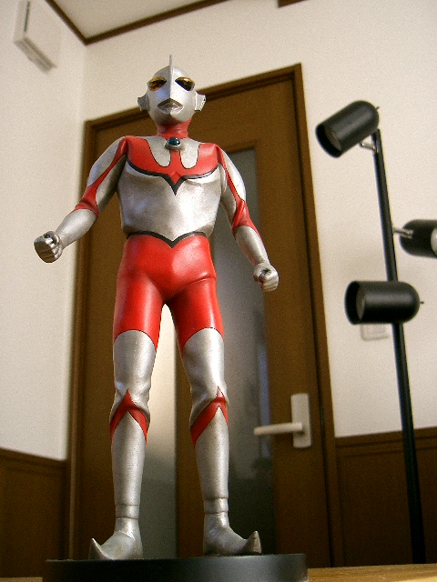 イメージ 7