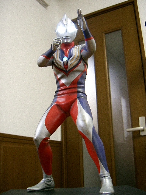 イメージ 8