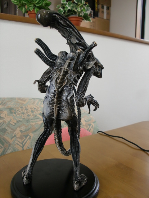 イメージ 5