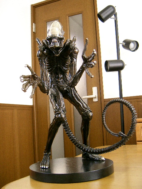 イメージ 8