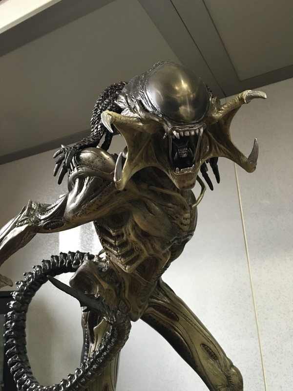 イメージ 14