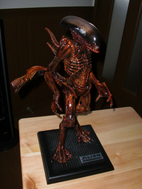 イメージ 10