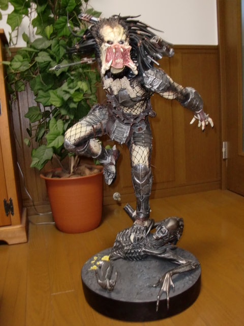 イメージ 12