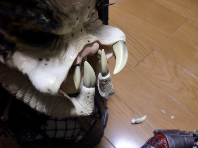 イメージ 3
