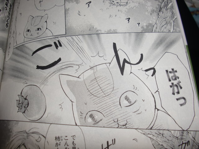 イメージ 9