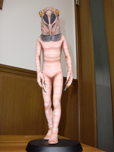 イメージ 6