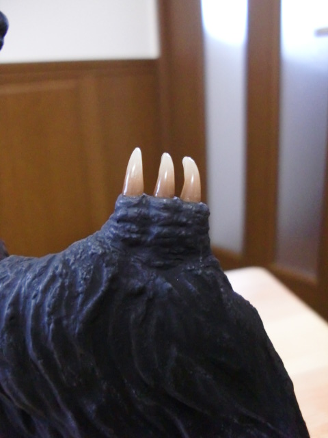 イメージ 12
