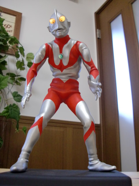 イメージ 5